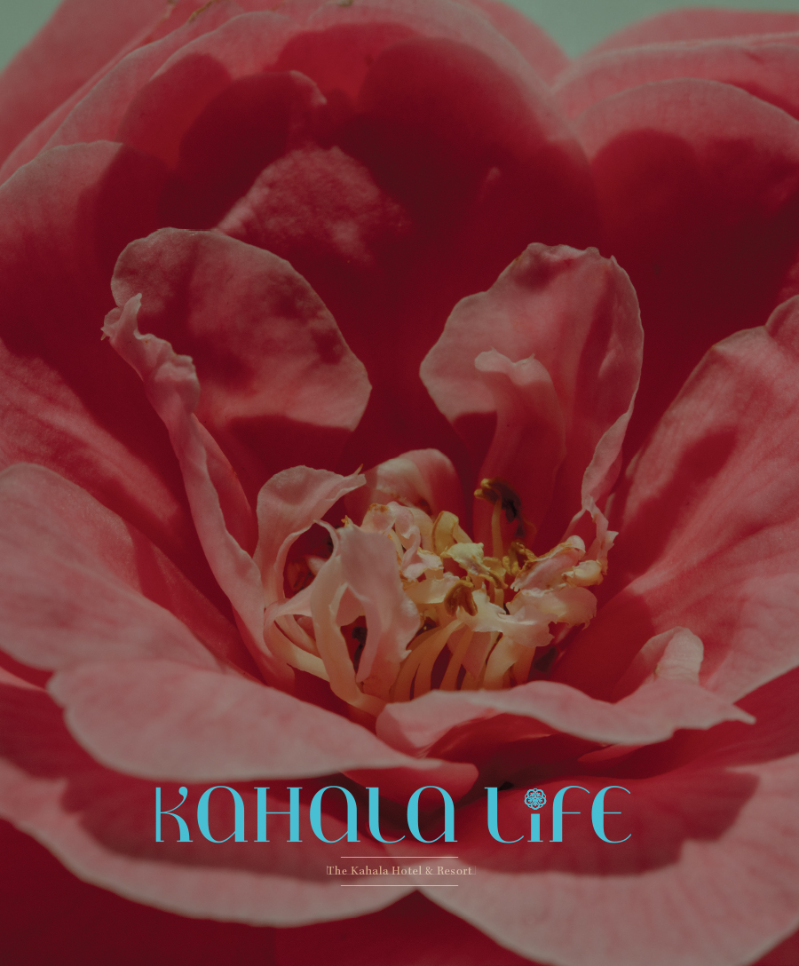 Kahala Magazine Cover 2025